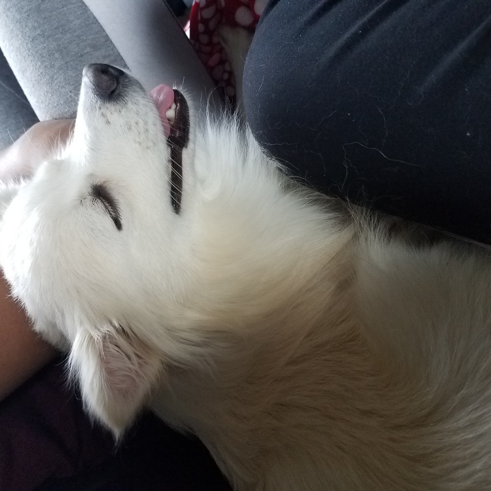 Meet your Posher, Jaya